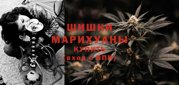 гидропоника Пересвет