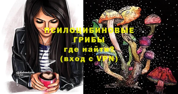 герыч Алексин
